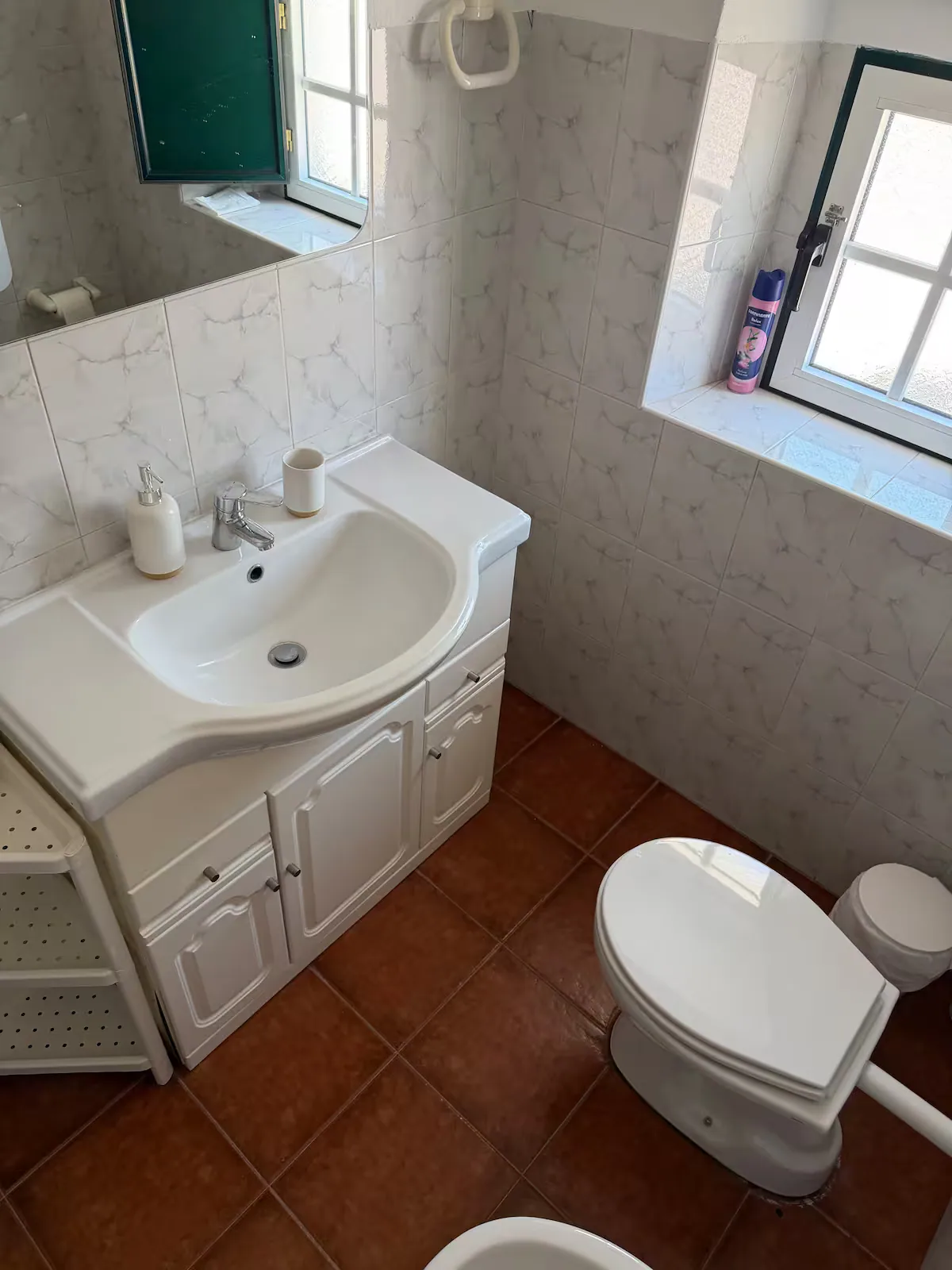 Bathroom with a basin by the window