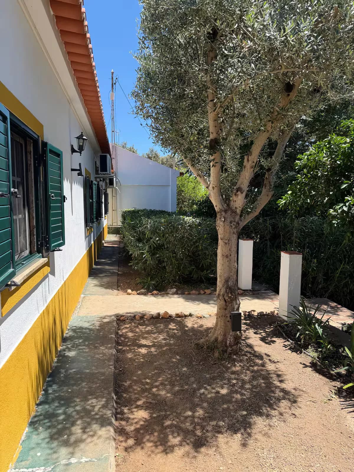 The front of the house beside an old olive tree
